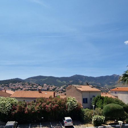Banyuls-Sur-Mer: T2 Avec Terrasse Couverte Et Parking Privatif - Fr-1-309-146 ภายนอก รูปภาพ